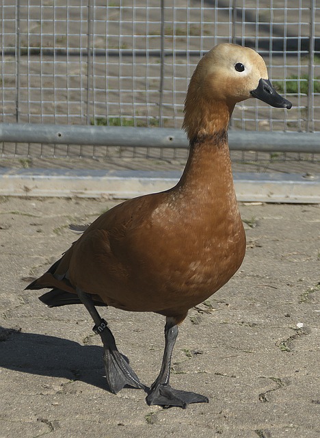 一次