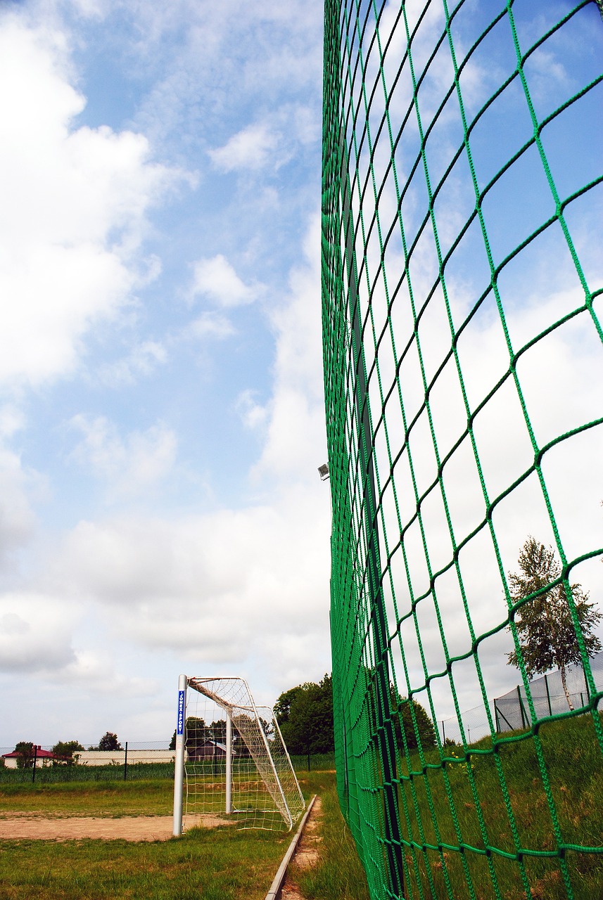 崛起总是令 崛起总是令